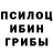 Галлюциногенные грибы мухоморы dieZOB